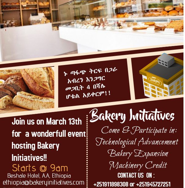 bread bakery business plan in ethiopia